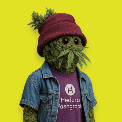 ℏBUDS cannabis bud NFT strains showcase — 13 unique strains on Hedera